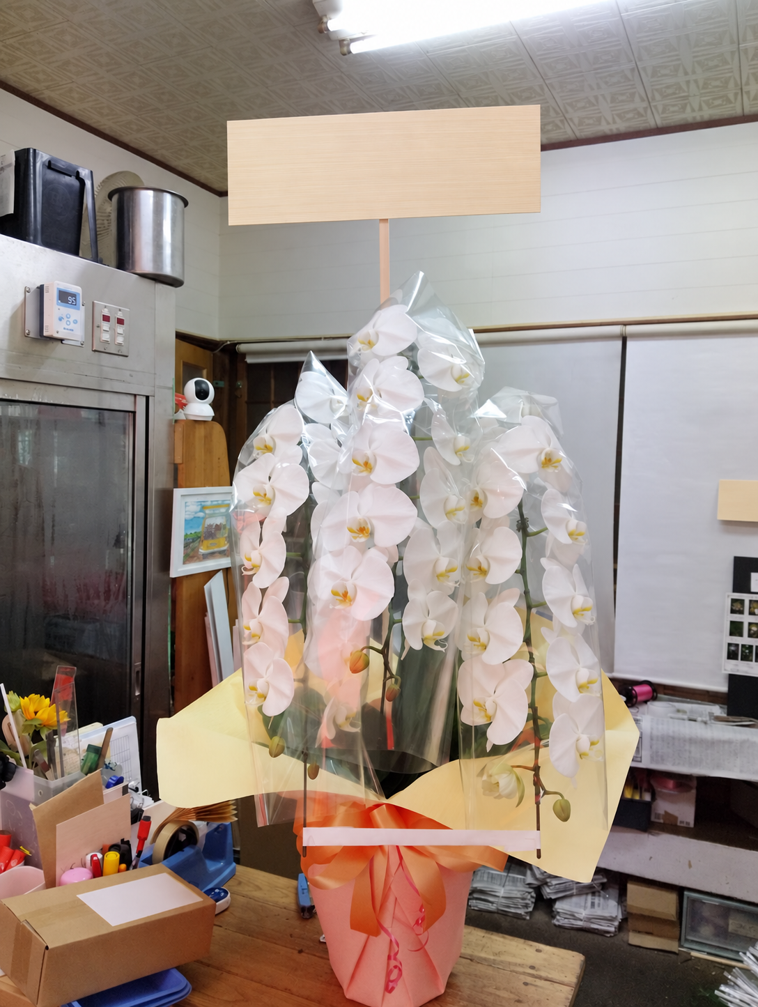 明石でのお祝いに和田生花がお届けした、淡い黄色とオレンジのラッピングの白い胡蝶蘭