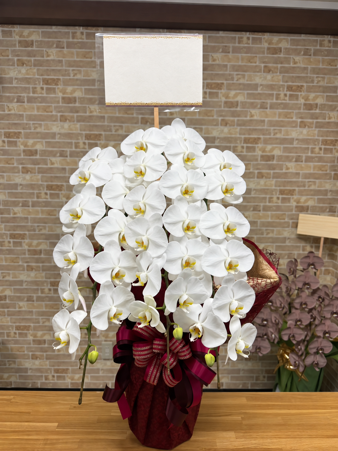 明石でのお祝いに和田生花がお届けした、落ち着いた赤系のラッピングの白い胡蝶蘭