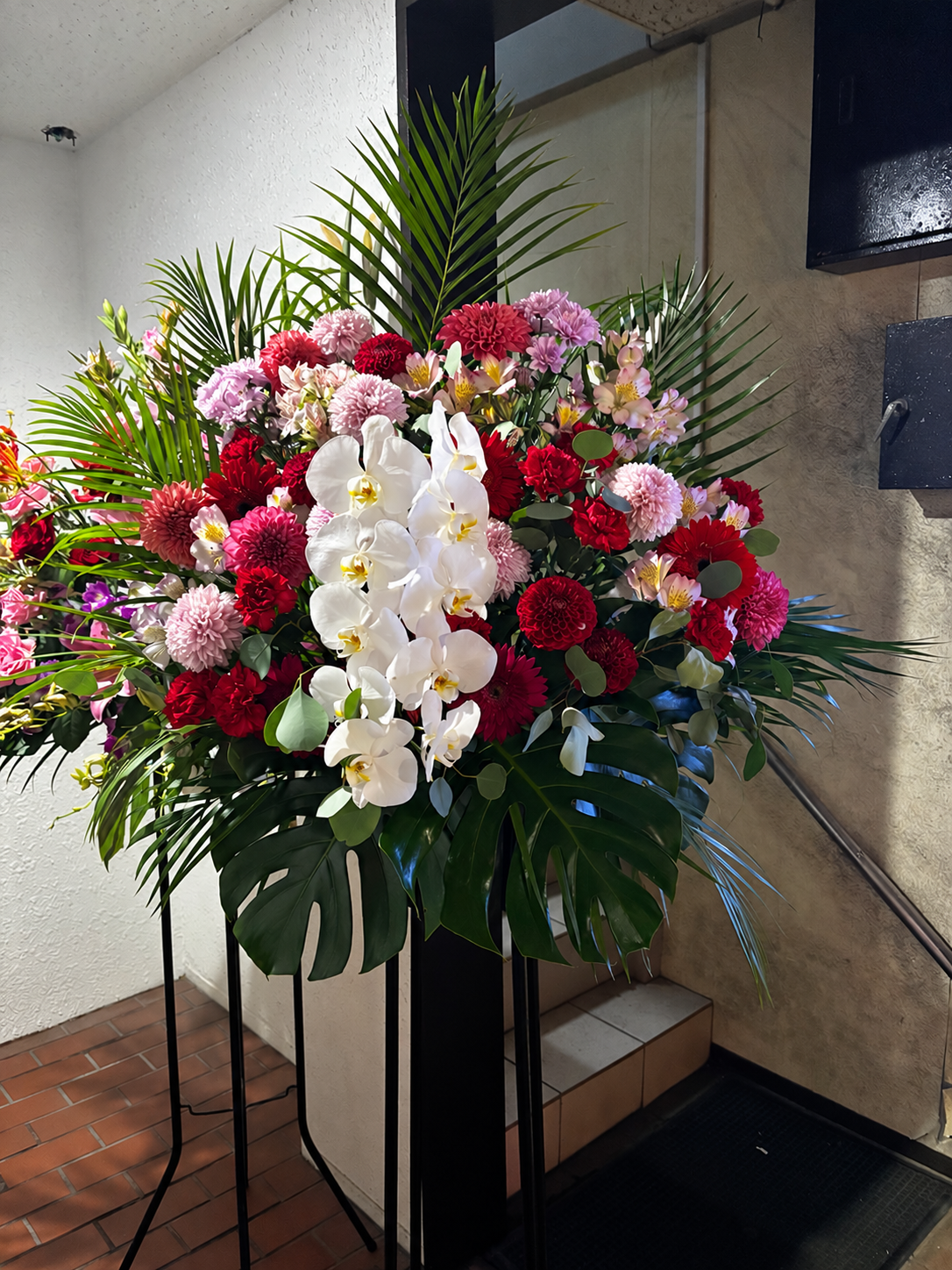 明石市のスナックへ和田生花がお届けした、胡蝶蘭と赤やピンクの花を使った周年祝いのスタンド花
