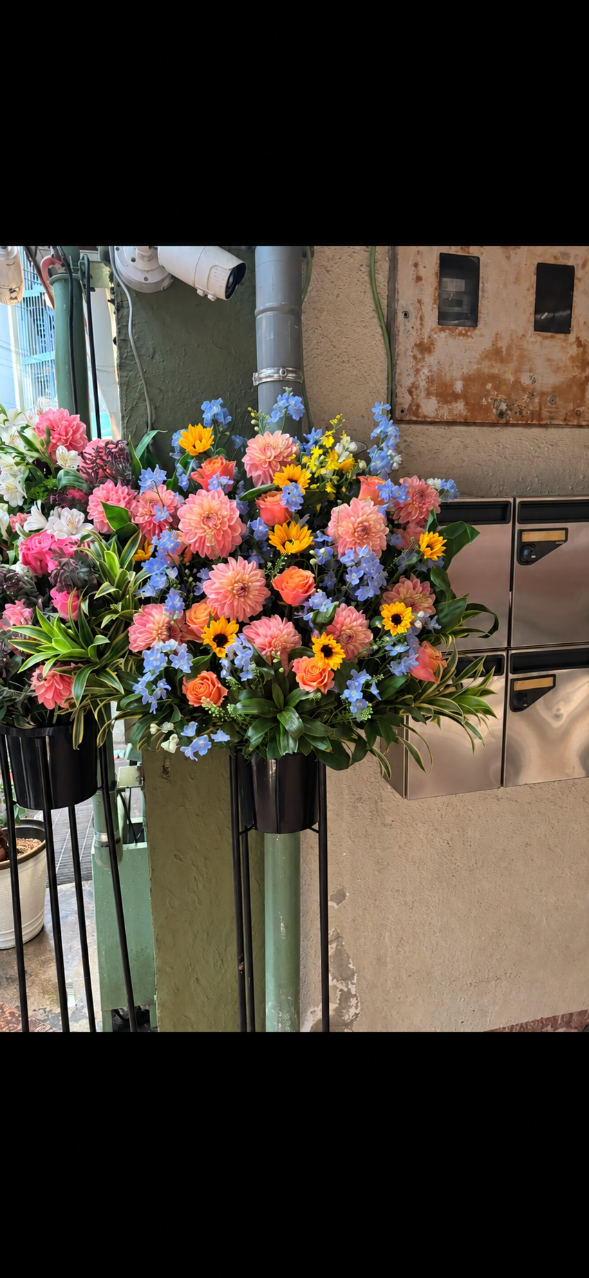 明石市の飲食店へ贈るダリアと青い花のおしゃれなスタンド花